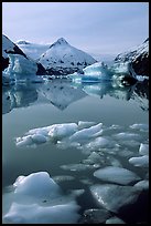 Floating ice in Portage Lake with mountain reflections. Alaska, USA ( color)