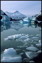 Floating ice in Portage Lake with mountain reflections. Alaska, USA (color)