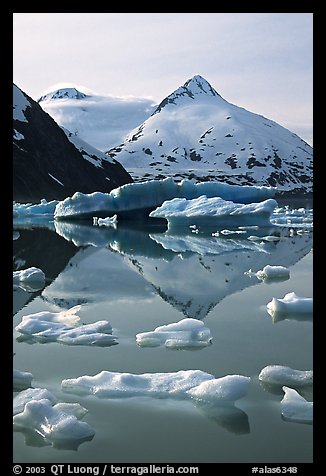 Iceberg-filled Portage Lake. Alaska, USA (color)