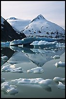 Iceberg-filled Portage Lake. Alaska, USA