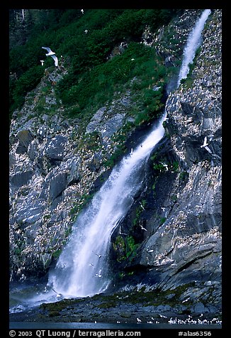 Waterfall and Seabirds. Prince William Sound, Alaska, USA
