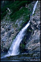 Waterfall and Seabirds. Prince William Sound, Alaska, USA (color)