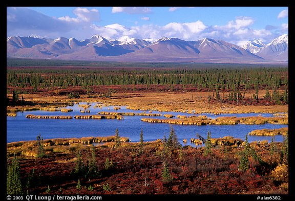 Kettle Lakes, tundra, and mountains. Alaska, USA (color)