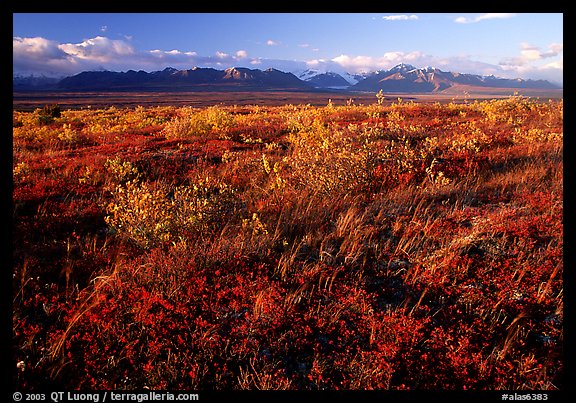 Tundra and mountains at sunset. Alaska, USA