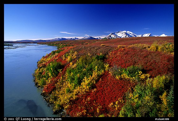 Susitna River and autumn colors on the tundra. Denali Highway, Central Alaska, USA