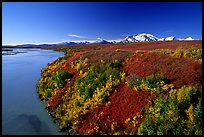 Susitna River and autumn colors on the tundra. Denali Highway, Central Alaska, USA