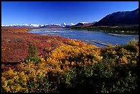 Susitna River and fall colors on the tundra. Denali Highway, Central Alaska, USA