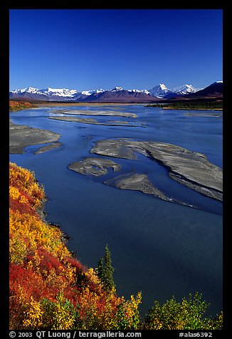 Wide Susitna River and fall colors on the tundra. Alaska, USA