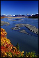 Wide Susitna River and fall colors on the tundra. Alaska, USA (color)