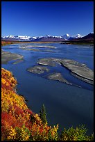 Wide Susitna River and fall colors on the tundra. Alaska, USA