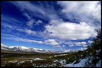 Valley and large white clouds. Alaska, USA (color)