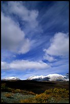 Mountain landscape with large white clouds. Alaska, USA