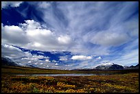 Tundra in fall color, lake, and sky dominated by large clouds. Alaska, USA