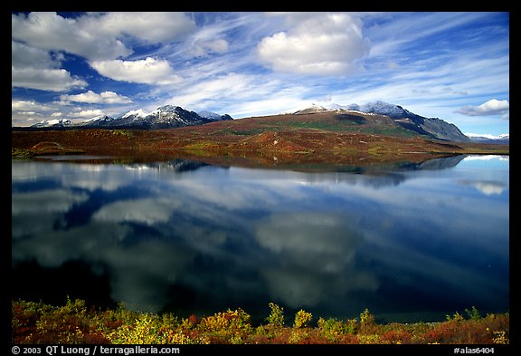 Lake and reflections, Denali Highway. Alaska, USA (color)