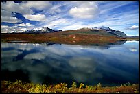 Lake and reflections, Denali Highway. Alaska, USA ( color)