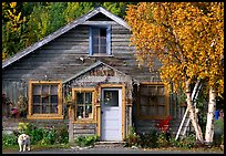 Dog in front of house in Copper Center. Alaska, USA