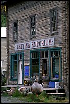 Chitina Emporium. Alaska, USA