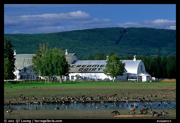 Creamer's dairy and field field. Fairbanks, Alaska, USA