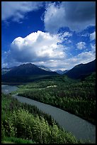 Matanuska River and Chugach mountains in summer. Alaska, USA