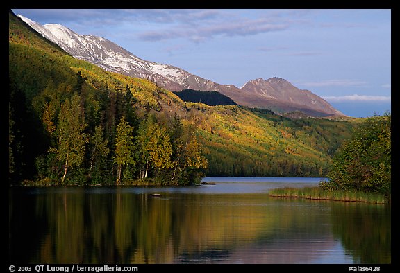 Long Lake with Autum Aspens, late afternoon. Alaska, USA