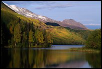 Long Lake with Autum Aspens, late afternoon. Alaska, USA (color)