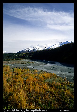Aspens in fall colors,  Chugach mountains, winding river. Alaska, USA (color)