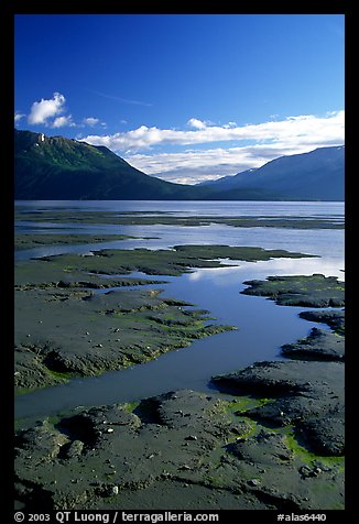 Mud flats, Turnagain Arm. Alaska, USA