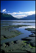 Mud flats, Turnagain Arm. Alaska, USA