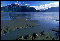 Mud flats, Turnagain Arm. Alaska, USA (color)