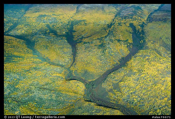 Aerial view of Dall River tributaries. Alaska, USA (color)