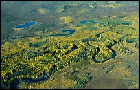 Aerial view of meandering river in autumn. Alaska, USA ( color)