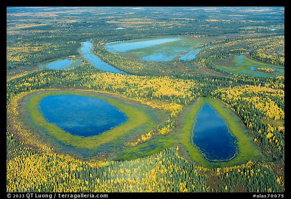 Aerial view of lakes in autumn. Alaska, USA (color)