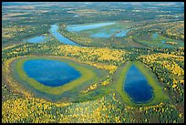 Aerial view of lakes in autumn. Alaska, USA ( color)