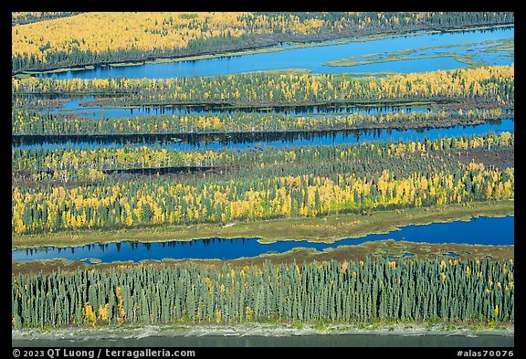 Aerial view of Yukon River arms in autumn. Alaska, USA (color)