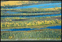 Aerial view of Yukon River arms in autumn. Alaska, USA ( color)