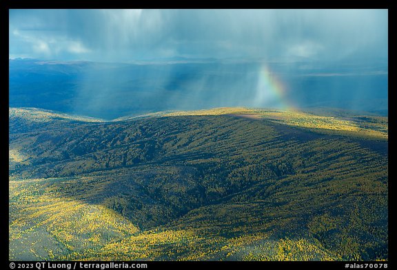 Aerial view of hillside in autumn with rain and rainbow. Alaska, USA (color)