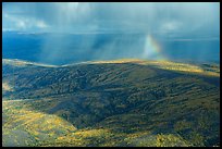 Aerial view of hillside in autumn with rain and rainbow. Alaska, USA ( color)
