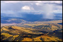 Aerial view of autumn forest with rain. Alaska, USA ( color)