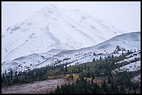 Pockets of trees below snowy peaks in mist, Hayes Range. Alaska, USA ( color)