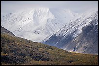 Clearwater Mountains in autumn. Alaska, USA ( color)