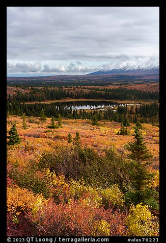 Tundra and Granite Mountain in autumn, Hayes Range. Alaska, USA
