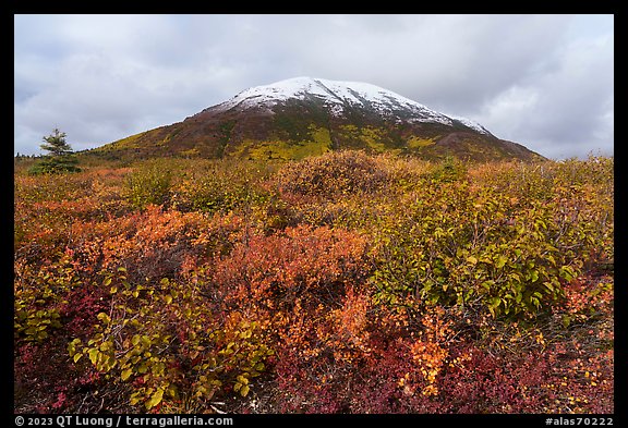 Donnelly Dome in autumn. Alaska, USA