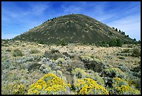 Cinder cone and sage,  Lava Beds National Monument. California, USA (color)