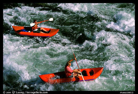 Kayakers on the rapids of the Trinity River, Shasta Trinity National Forest. California, USA (color)