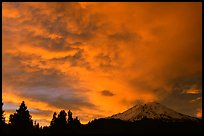 Clouds over Mt Shasta at sunset. California, USA