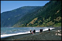 Backpackers on black sand beach and King Range, Lost Coast. California, USA