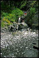 Hikers exploring a cascade, Lost Coast. California, USA