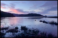 Humbolt Lagoon, sunrise. California, USA