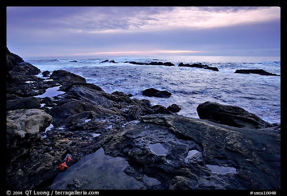 Tide pool with sea stars at sunset, Weston Beach. Point Lobos State Preserve, California, USA (color)