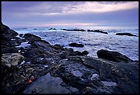 Tide pool with sea stars at sunset, Weston Beach. Point Lobos State Preserve, California, USA